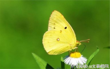 关于生死与共的名言
