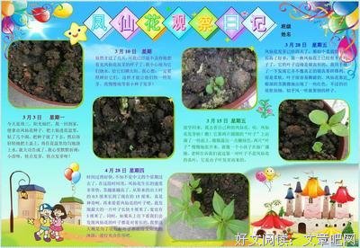 《为什么速度越快，时间越少》读后感锦集