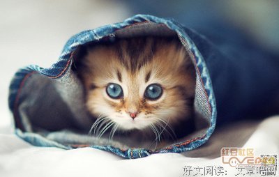 关于永垂不朽的唯美语录