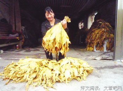《女人不是月亮》好看吗？经典影评锦集