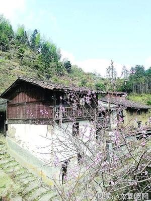 《寂静深处有人家》读后感摘抄