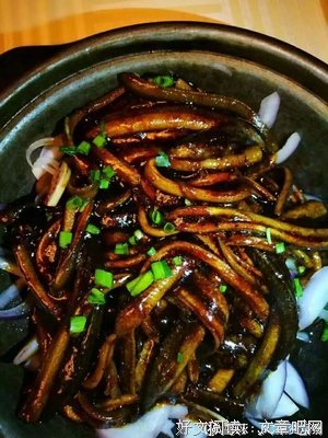 惟有光阴不可轻的读后感大全