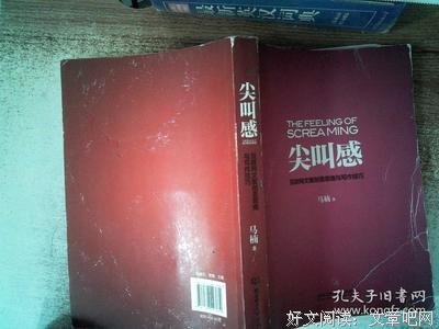尖叫感：互联网文案创意思维与写作技巧读后感1000字