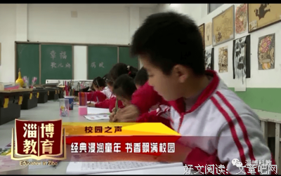 种子的胜利经典读后感有感