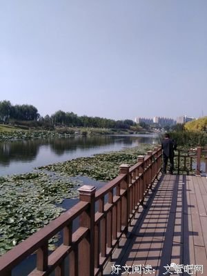 《回望》经典读后感有感