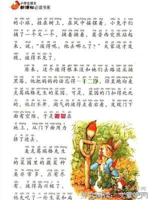 《彼得兔》读后感精选