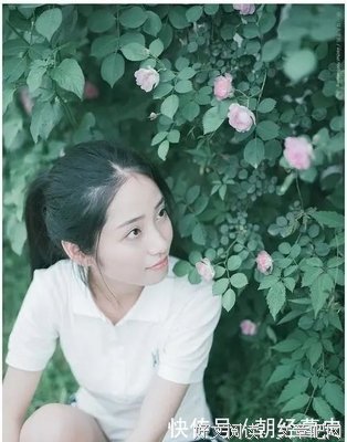 爱情的优美句子