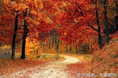欣赏的优美句子