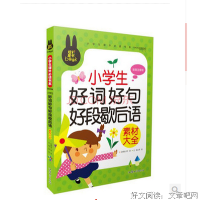 坚强的后盾好词好句
