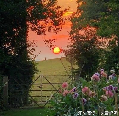莎多十她声为亚集的句子
