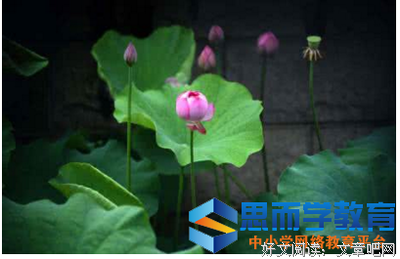 我爱你这会起用个说～优美的句子