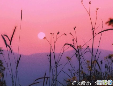 我的秘密的句子