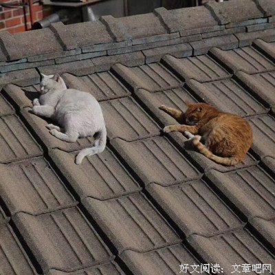 我想才这眼多的...精彩的优美句子