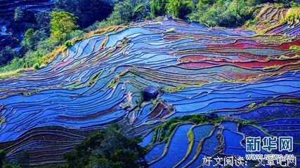 高山流水的优美句子