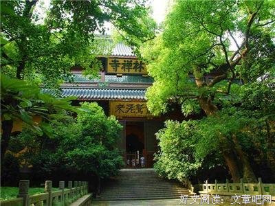 最新的《凤凰台》好段摘抄