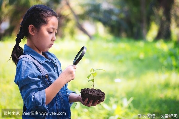 关于葡萄树苗名言