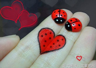 最全的《幸福密码》经典的句子