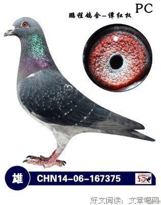 《黑金家族 第一季》观后感100字