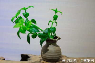 《《匠人匠心：用一生，做好一件事》》的读后感大全