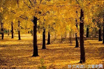 看得见的文明史（套装共12册）读后感锦集