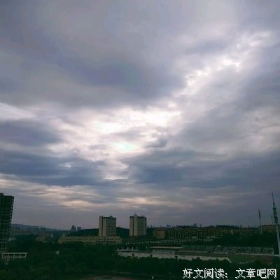 《注意力商人》经典读后感有感