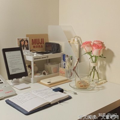 奇想之年读后感摘抄