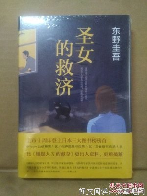 圣女的救济读后感锦集