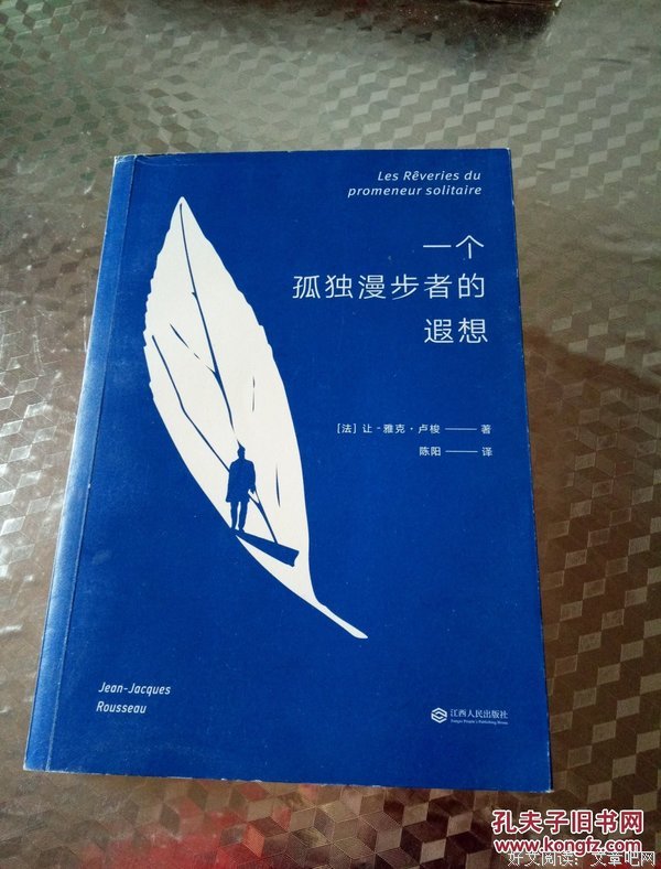 一个孤独漫步者的遐想读后感精选