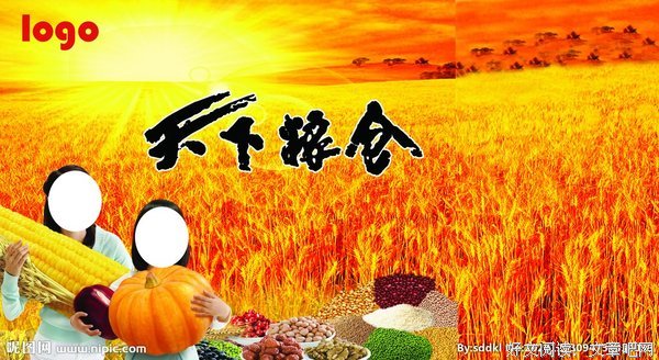 《天下粮仓》影评精选