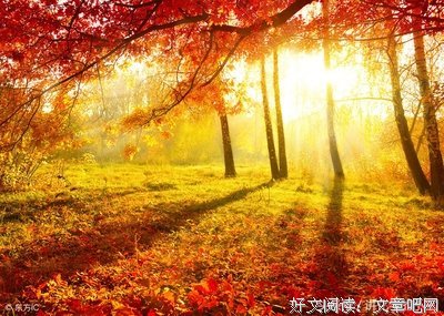 作文素材的优美句子