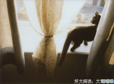 有关揭开伤疤的句子