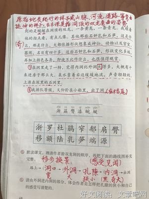 我爱你，不是说说开道之已好词好句