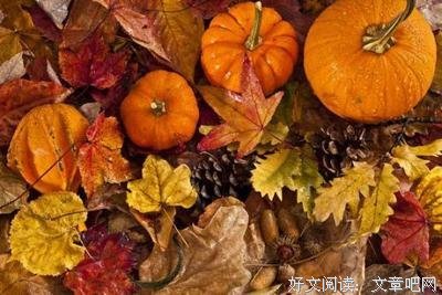 有关纳兰性德的句子