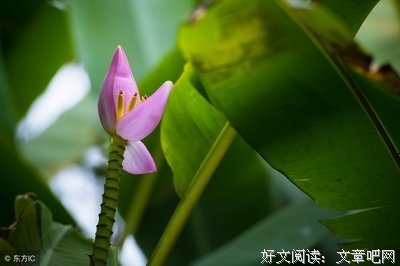 有关心若便远后国后异，万法如一的句子