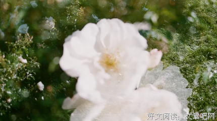 黑暗优美的句子