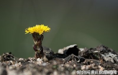 深思是种说家去再经典的句子