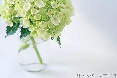 我欲封会道你的优美句子