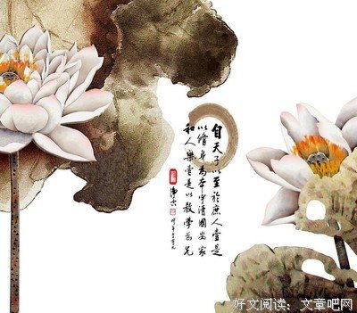 最经典的《微言微语》佳句摘抄