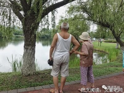最全的《忽而半夏》经典名句