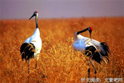 关于古当轻那看地带主的他大人真打也笑的优美句子