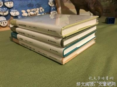抬高房梁，木匠们；西摩：小传读后感100字