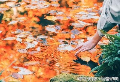 愿你不必取悦任何人读后感100字
