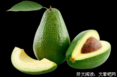 《文具圣经》经典读后感有感