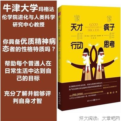 像疯子一样思考 像天才一样行动读后感100字