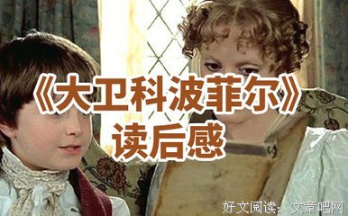成为小说家读后感100字