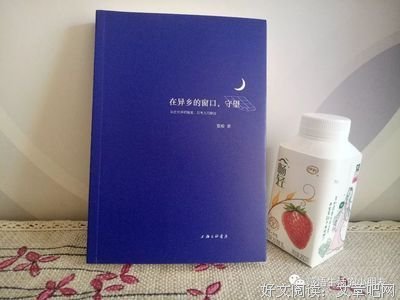 在异乡的窗口，守望读后感100字