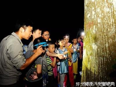 《迷因效应》的读后感大全