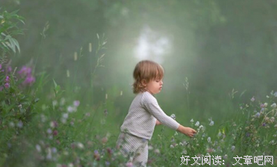 奢侈的滋味读后感摘抄