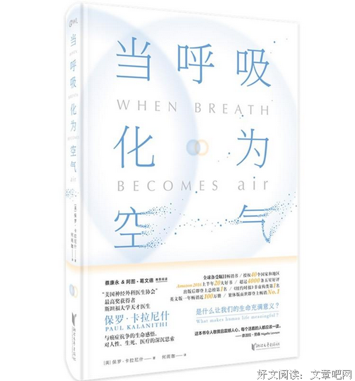 当呼吸化为空气的读后感大全