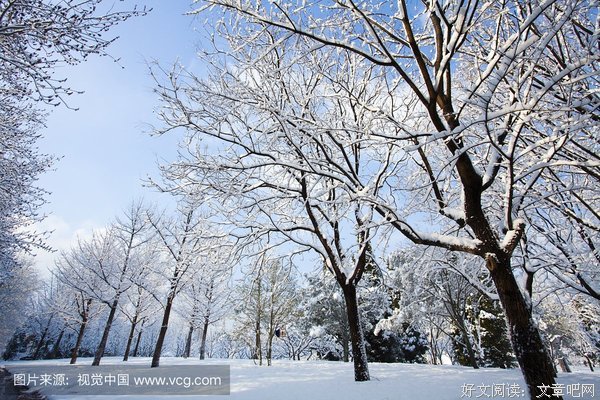 雪中的印记的读后感大全